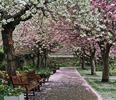 London Spring